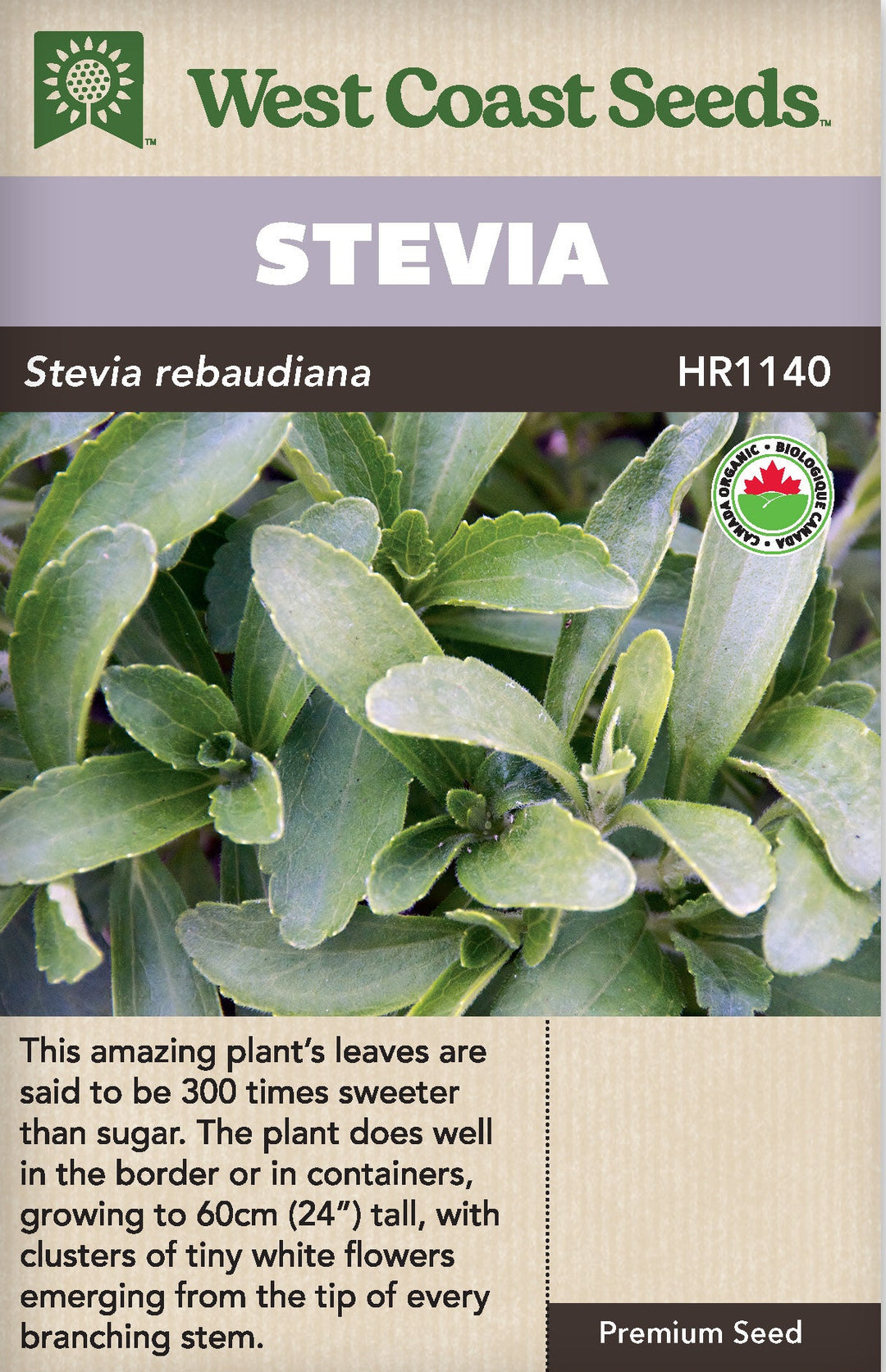 Organic Stevia - West Coast Seeds