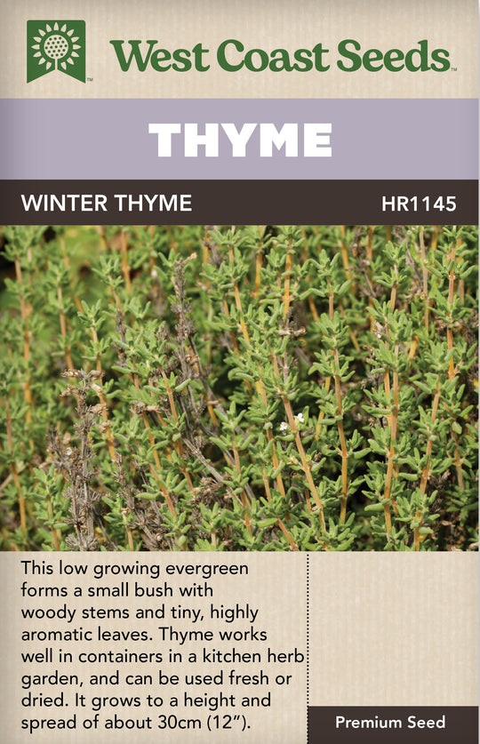 Thyme Winter English - West Coast Seeds