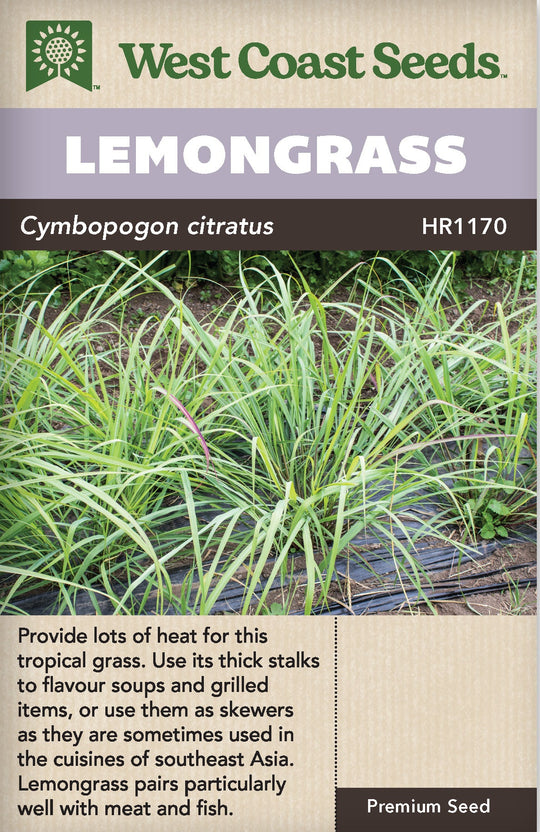 Lemongrass - West Coast Seeds