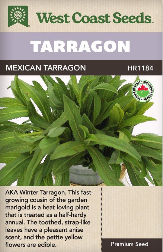 Organic Tarragon Mexican - West Coast Seeds