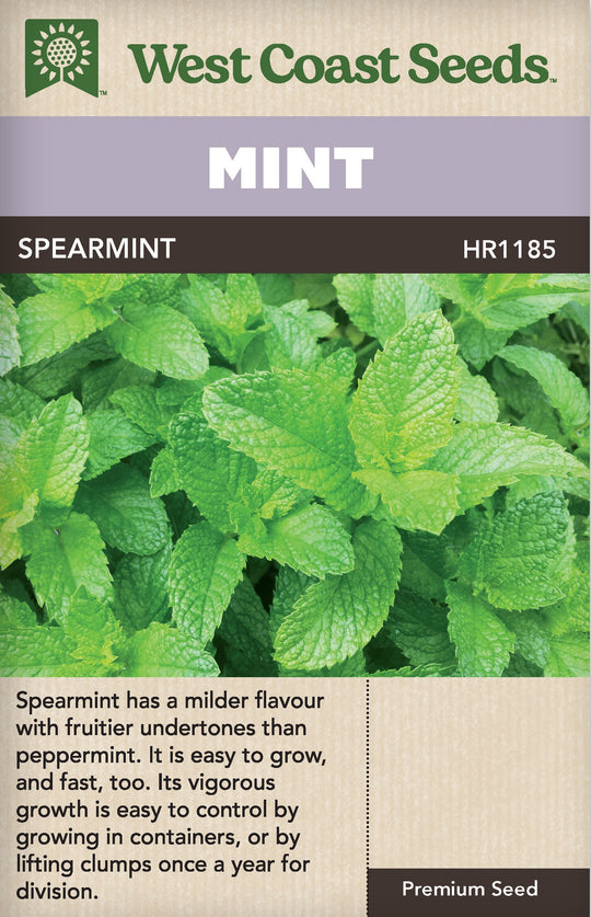 Mint Spearmint  - West Coast Seeds