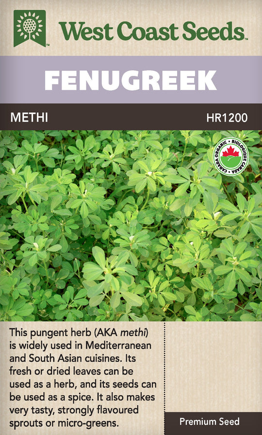 Organic Fenugreek (Methi) - West Coast Seeds Ltd