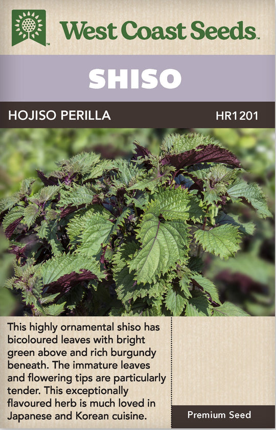 Shiso Hojiso Perilla - West Coast Seeds
