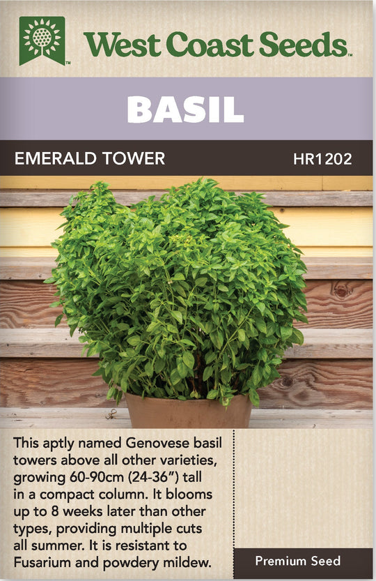 Basil Emerald Tower - West Coast Seeds