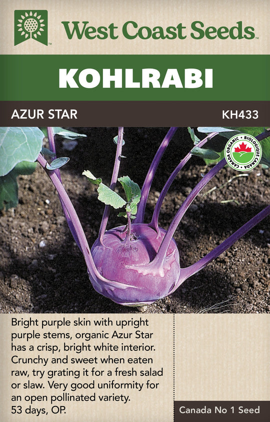 Organic Kohlrabi Azur Star - West Coast Seeds