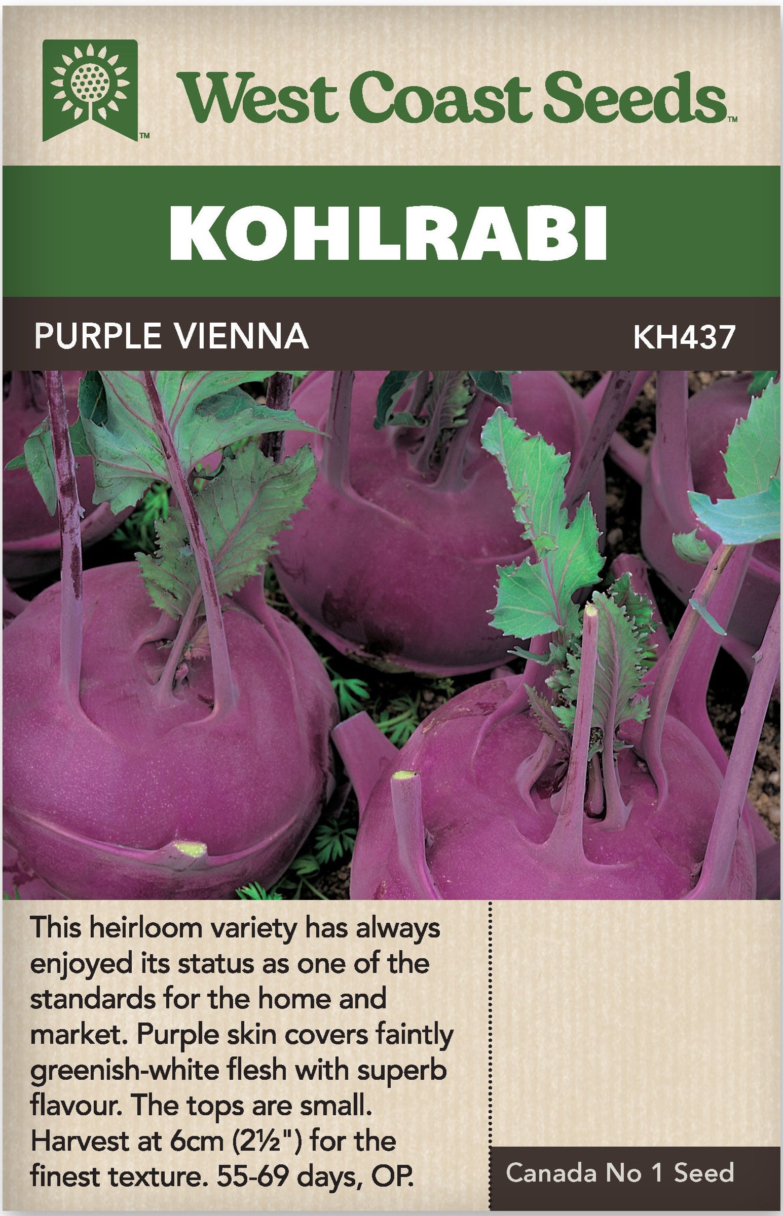 Kohlrabi Purple Vienna - West Coast Seeds