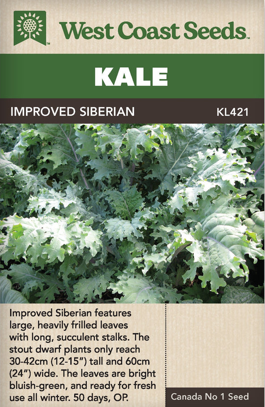 Kale Improved Siberian - West Coast Seeds