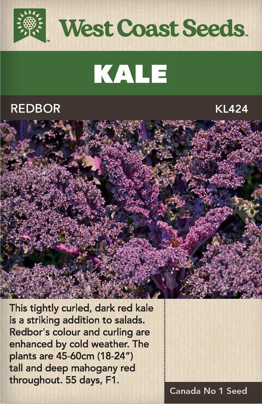 Kale Redbor - West Coast Seeds