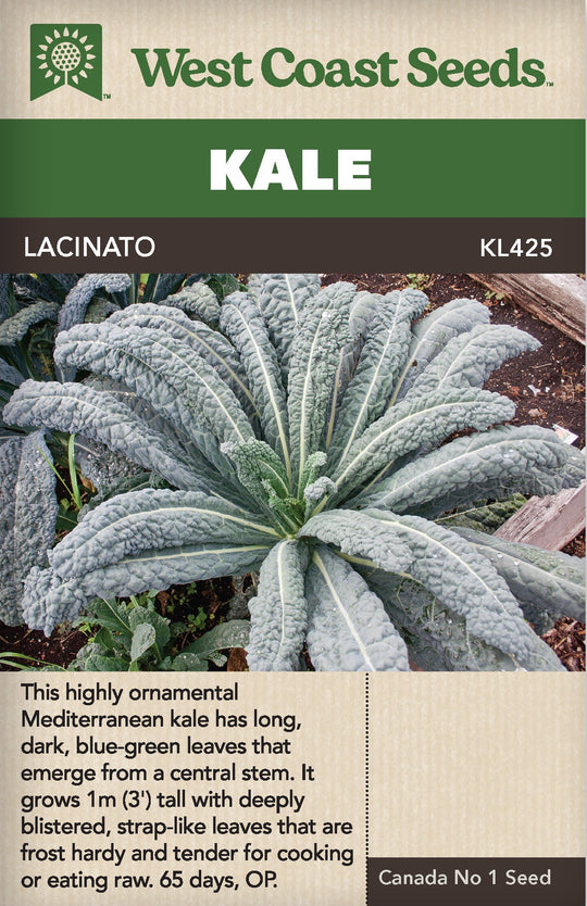 Kale Lacinato - West Coast Seeds