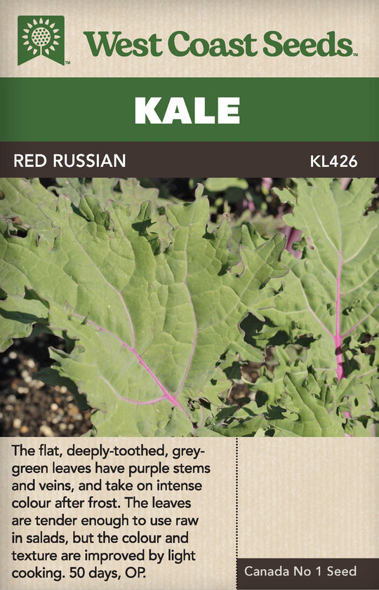 Kale Red Russian - West Coast Seeds