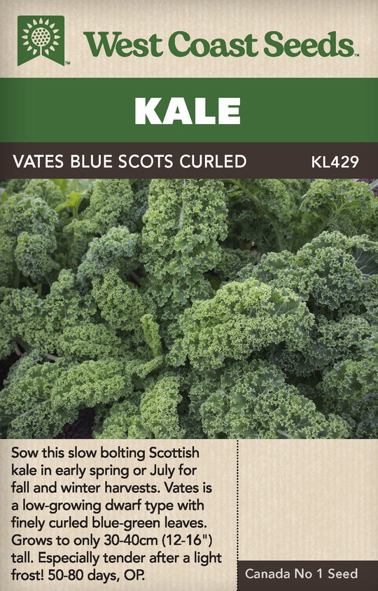 Kale Vates Blue Curled Scotch - West Coast Seeds
