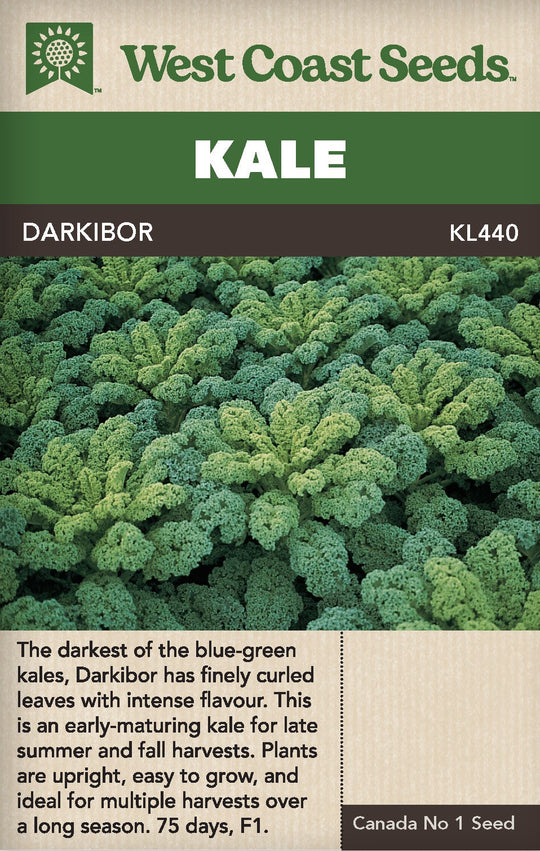 Kale Darkibor - West Coast Seeds