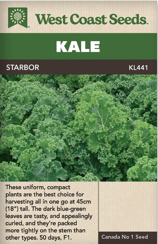 Kale Starbor (coated) - West Coast Seeds