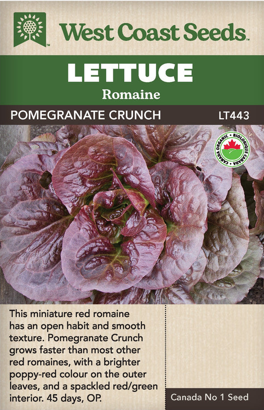 Organic Lettuce Pomegranate Crunch - West Coast Seeds