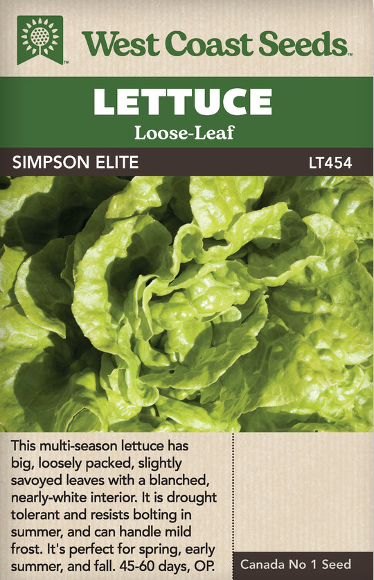 Lettuce Simpson Elite - West Coast Seeds