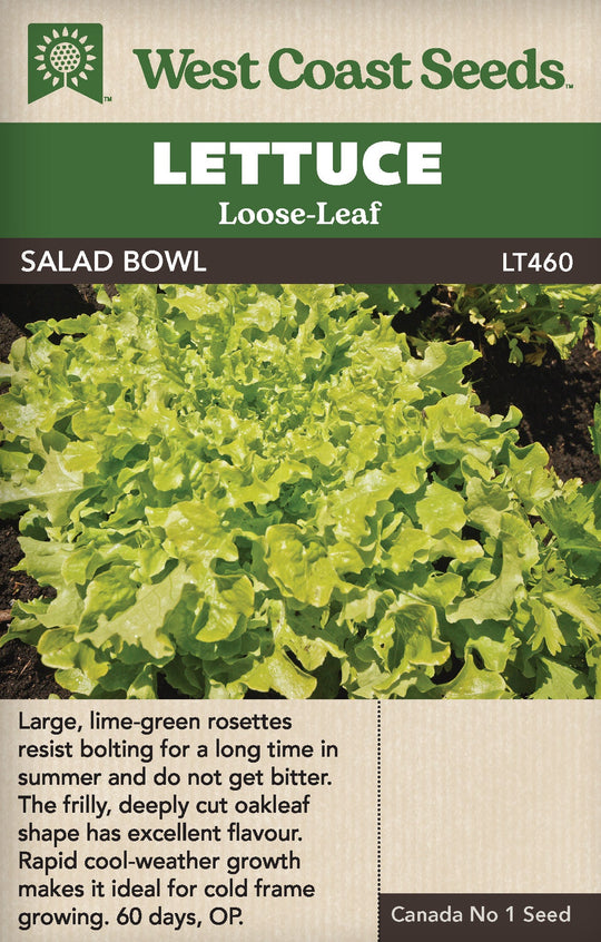 Lettuce Green Salad Bowl - West Coast Seeds