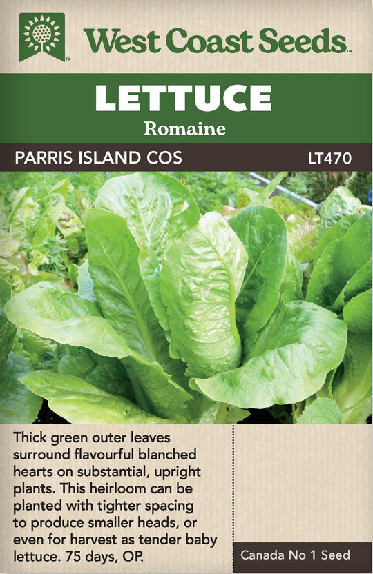 Lettuce Parris Island Cos - West Coast Seeds
