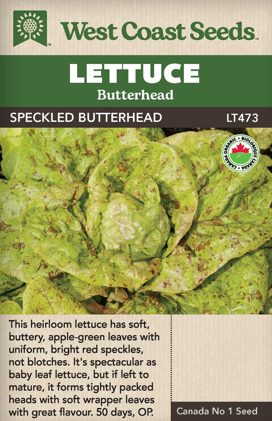 Organic Lettuce Speckled Butterhead - West Coast Seeds