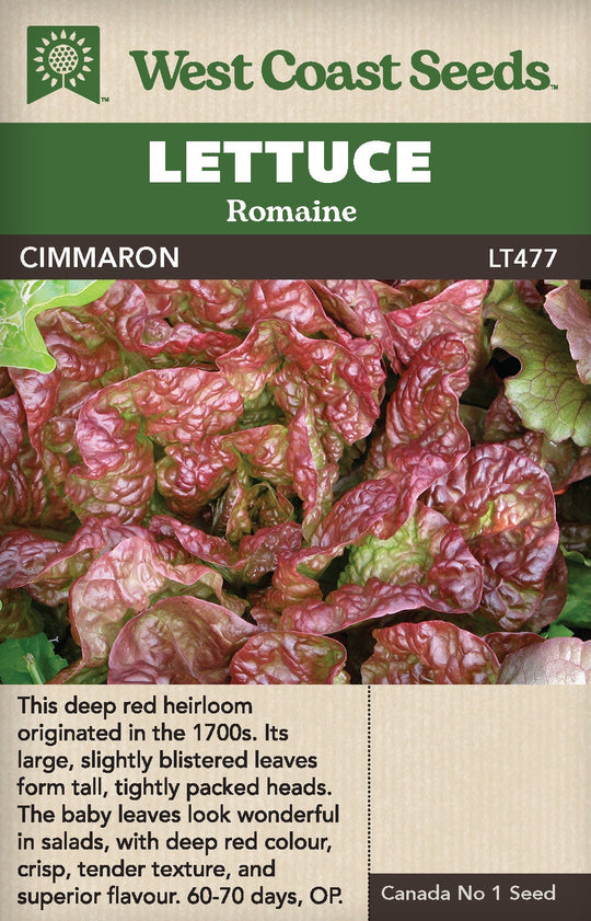 Lettuce Cimmaron - West Coast Seeds