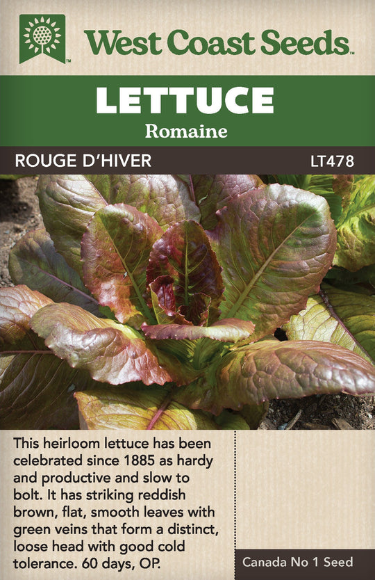 Lettuce Rouge D'Hiver - West Coast Seeds
