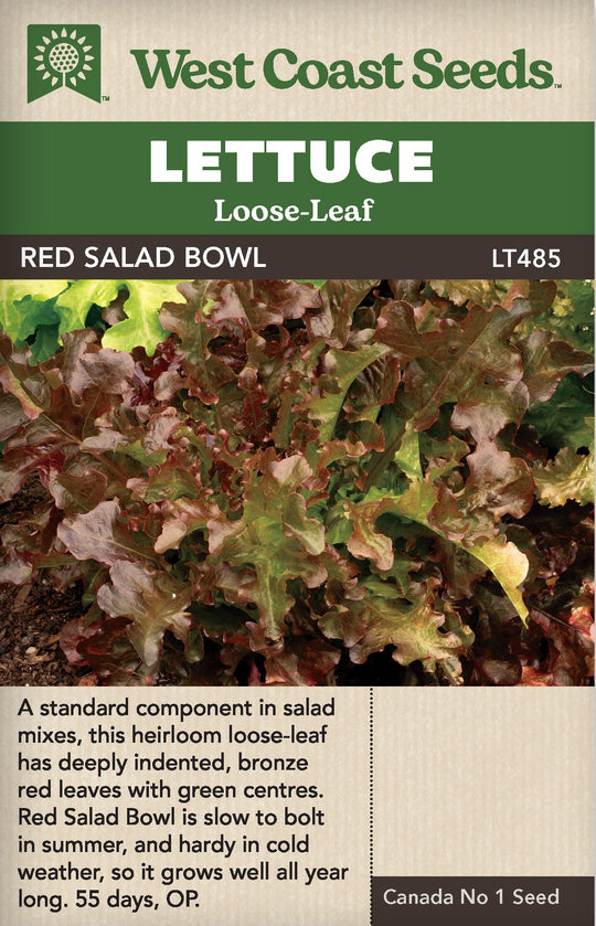 Lettuce Red Salad Bowl - West Coast Seeds