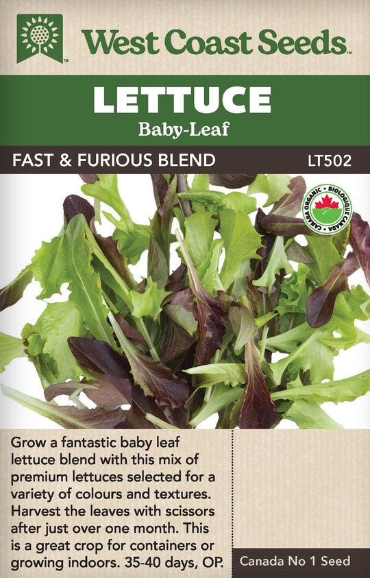 Organic Lettuce Fast & Furious - West Coast Seeds