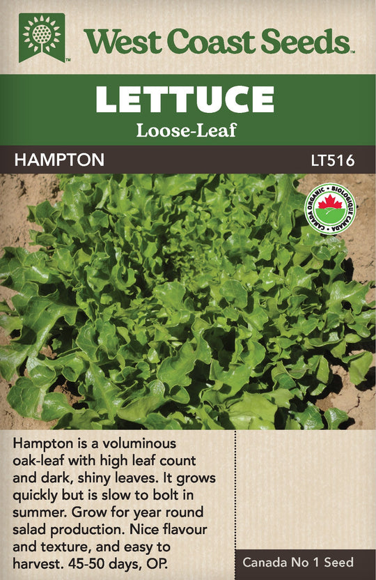 Organic Lettuce Hampton - West Coast Seeds