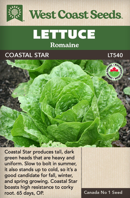 Organic Lettuce Coastal Star - West Coast Seeds