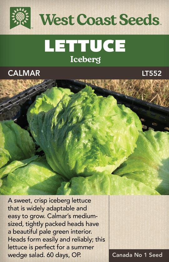 Lettuce Calmar - West Coast Seeds