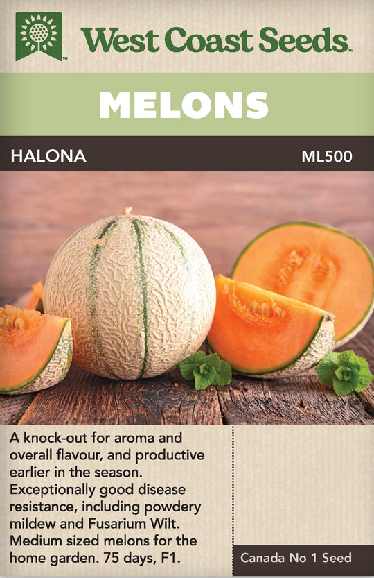 Cantaloupe Halona - West Coast Seeds