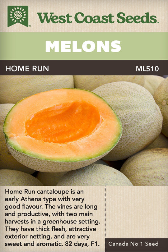 Cantaloupe Home Run - West Coast Seeds