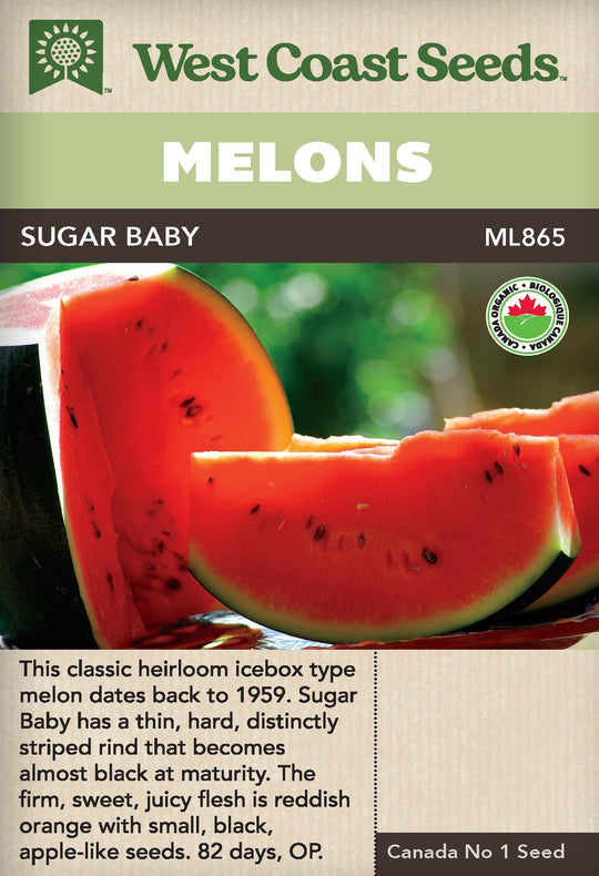 Organic Watermelon Sugar Baby - West Coast Seeds