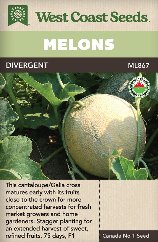 Organic Cantaloupe Divergent - West Coast Seeds