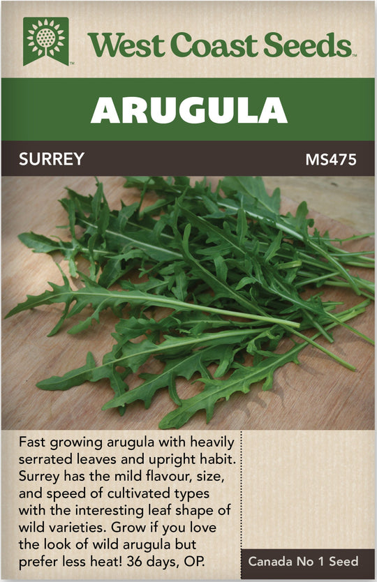 Arugula Surrey- West Coast Seeds