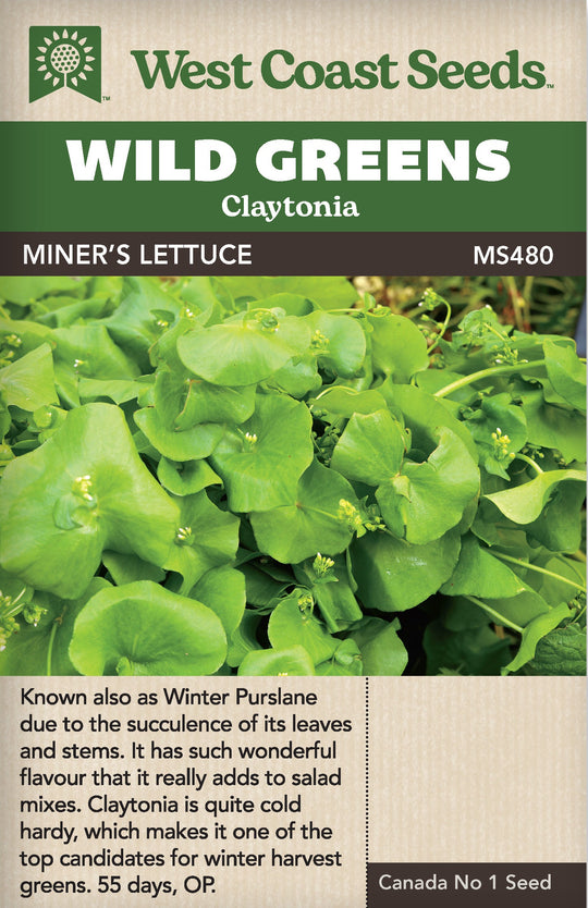 Claytonia Miner's Lettuce - West Coast Seeds