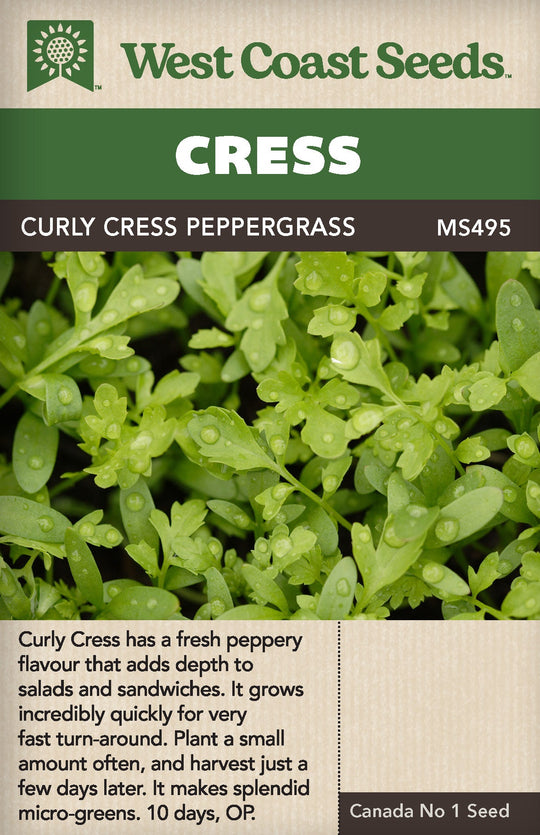 Cress Curly - West Coast Seeds