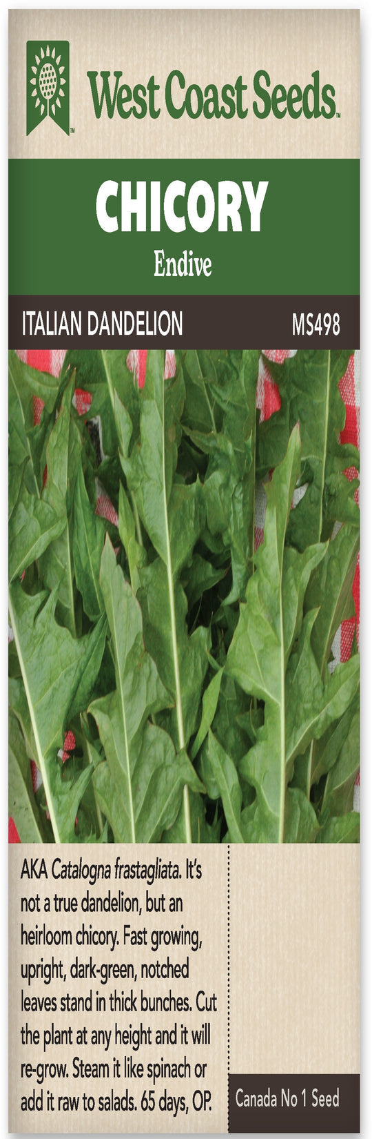 Chicory Italian Dandelion Endive - West Coast Seeds