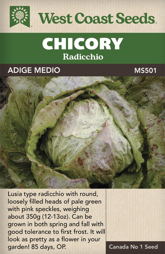Chicory Adige Medio - West Coast Seeds