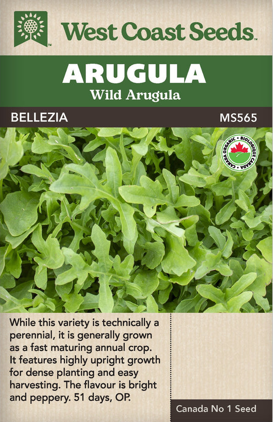 Organic Arugula Bellezia - West Coast Seeds