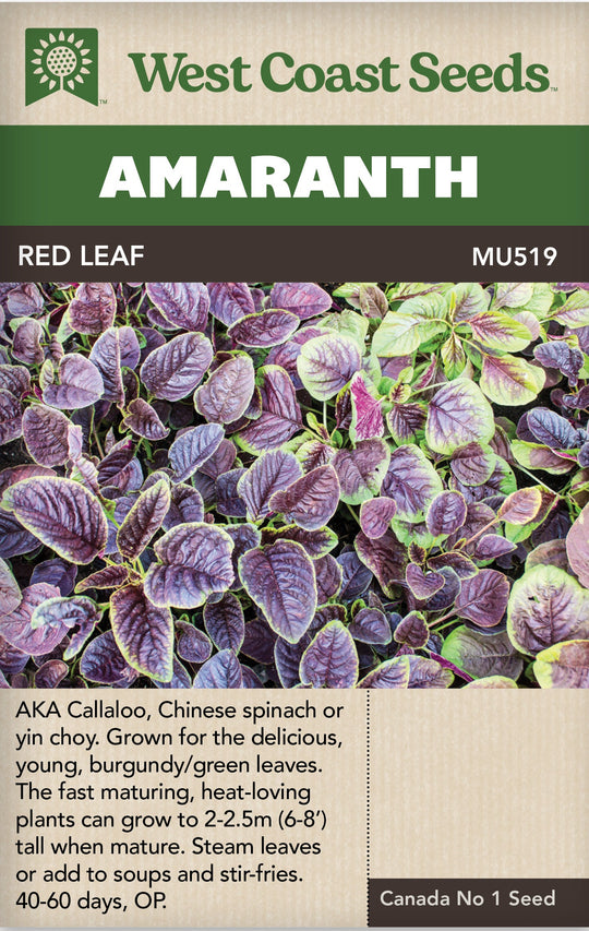 Amaranth Red Leaf - West Coast Seeds