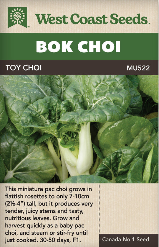 Pac Choi Toy Choi - West Coast Seeds