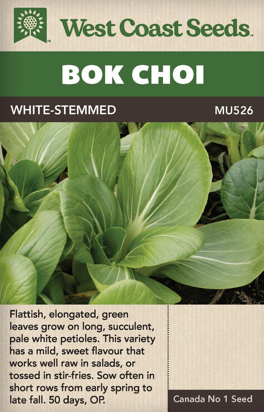 Pac Choi White Stemmed - West Coast Seeds