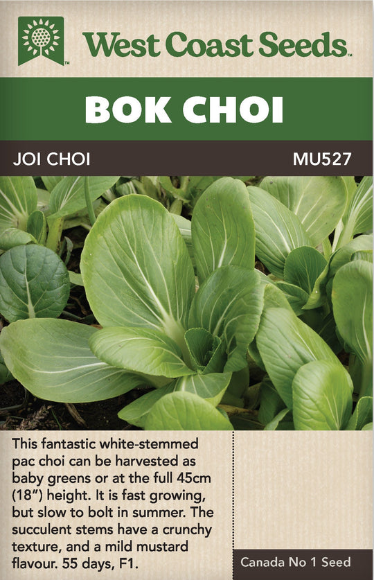 Pac Choi Joi Choi - West Coast Seeds