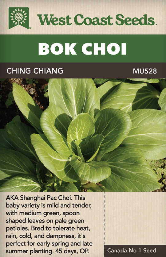 Pac Choi Ching Chiang - West Coast Seeds