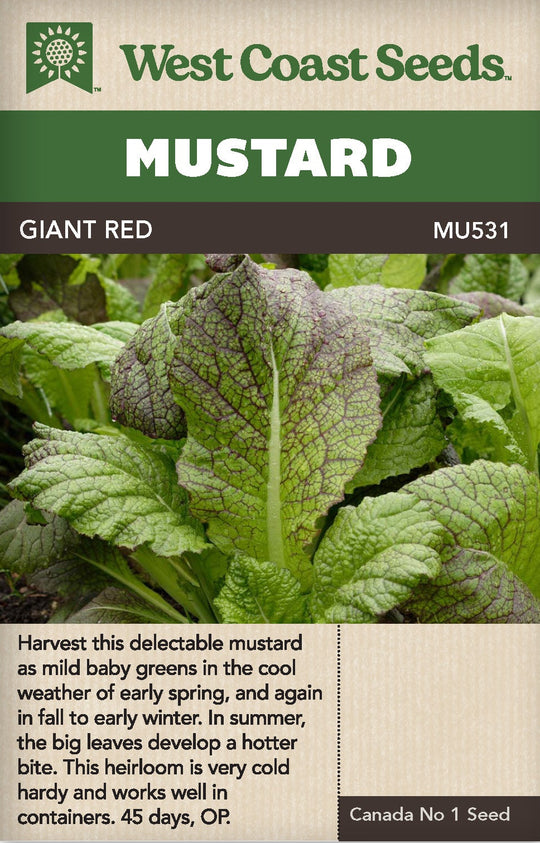 Mustard Giant Red - West Coast Seeds
