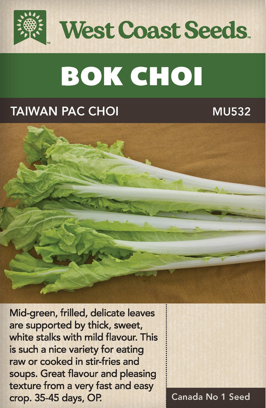 Pac Choi Taiwan - West Coast Seeds