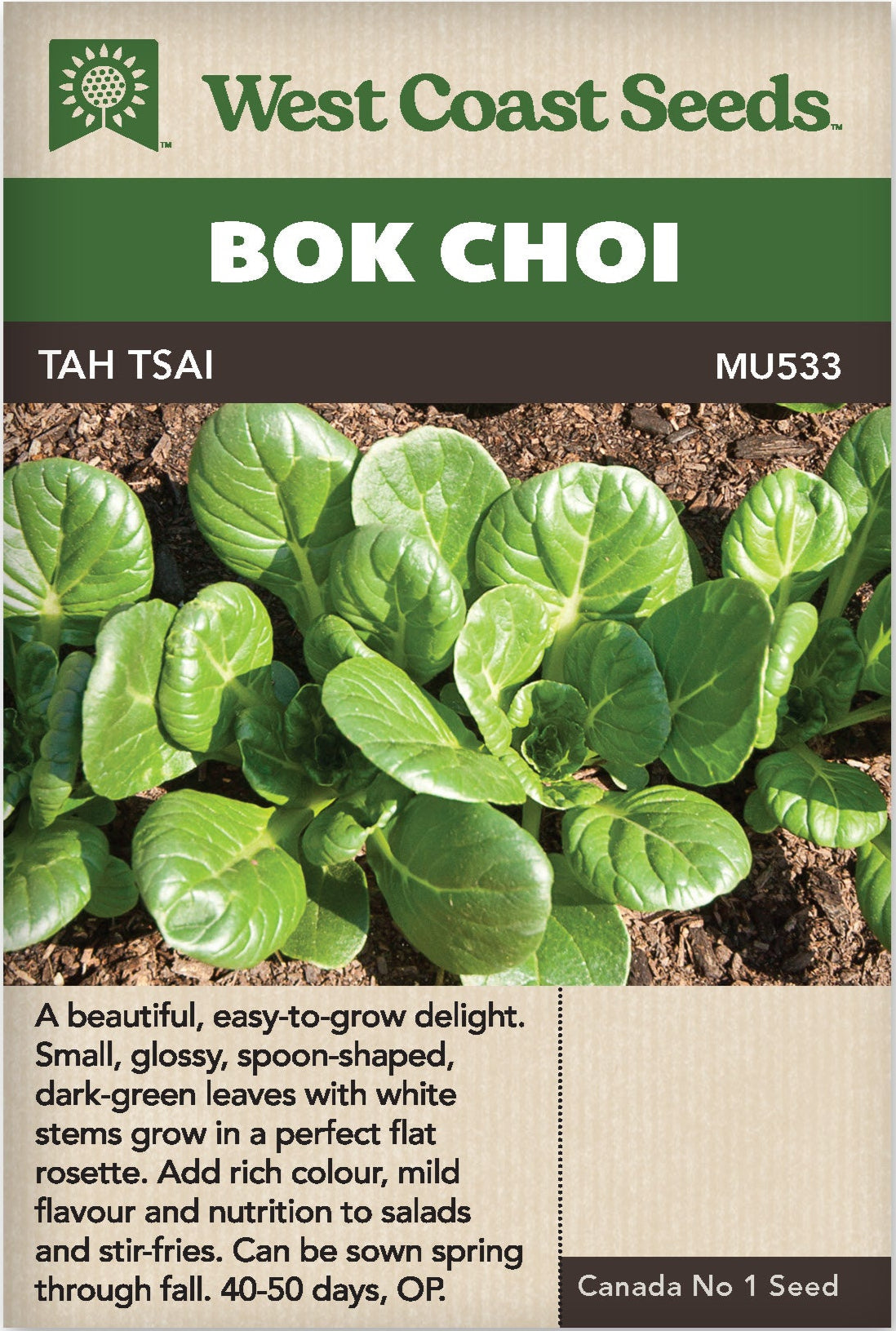 Bok Choi Tah Tsai - West Coast Seeds