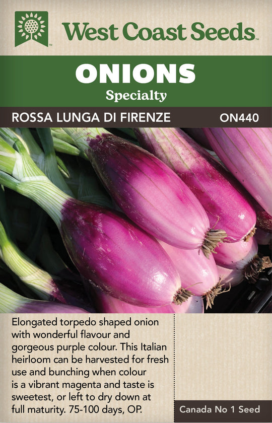 Onion Rossa Lunga di Firenze - West Coast Seeds