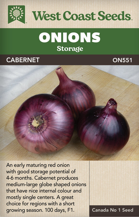 Onion Cabernet - West Coast Seeds