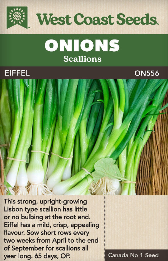 Onion Eiffel - West Coast Seeds